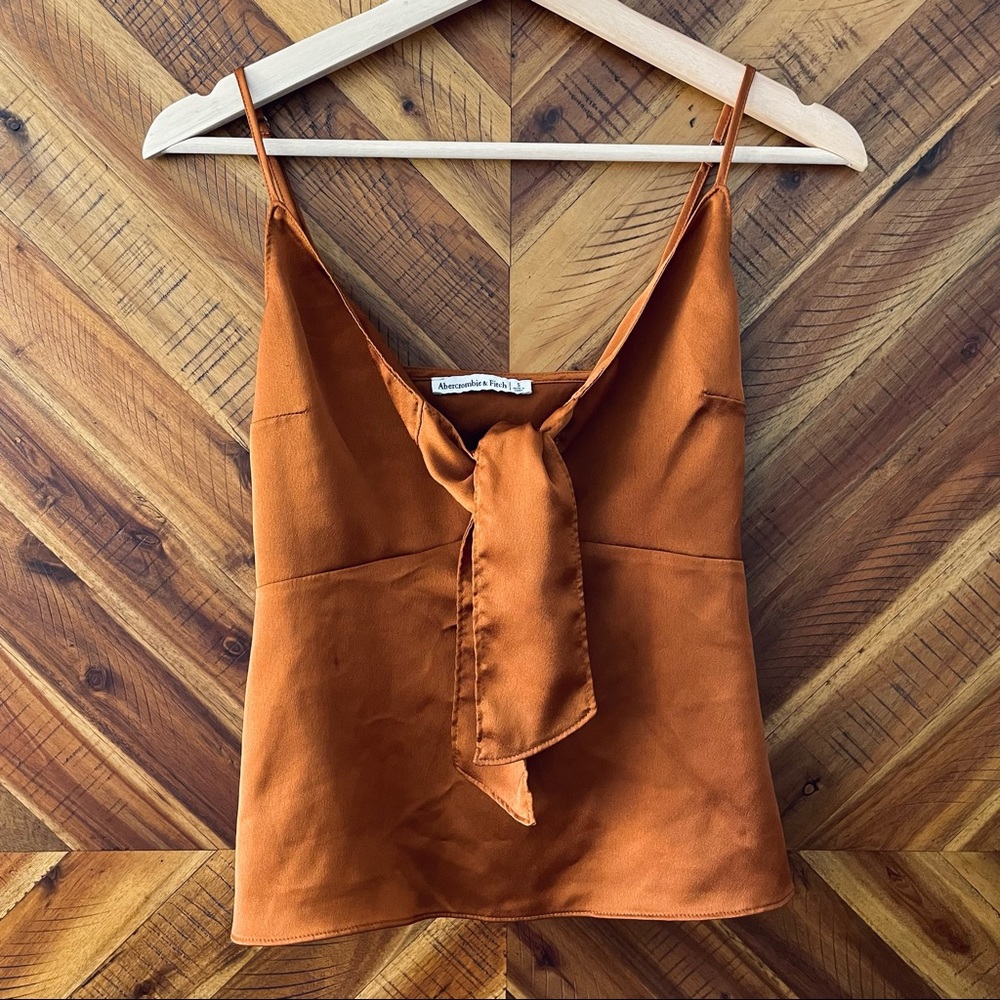 Size S Abercrombie and Fitch Brown Silky Crop Tank